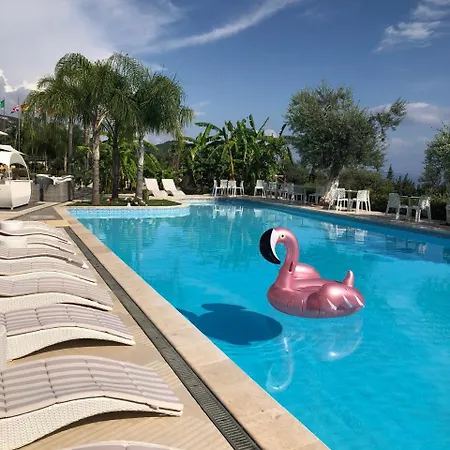 Splendor Hotel&spa 4* Dhërmi